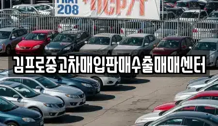 경기 수원시 팔달구 구천동 중고차매입 전문 김프로중고차매입판매수출매매센터