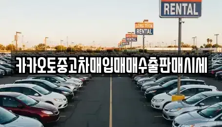 경기 시흥시 조남동 중고차매입 전문 카카오토중고차매입매매수출판매시세