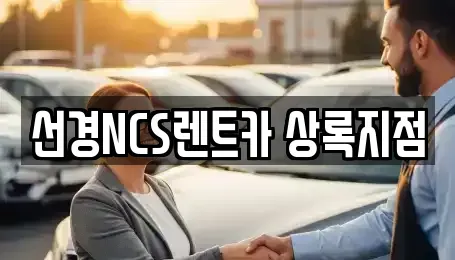 경기 안산시 상록구 성포동 단기렌트카 전문 선경NCS렌트카 상록지점