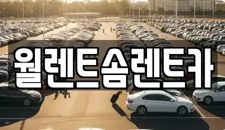 경기 안산시 상록구 성포동 렌트카 전문 월렌트솜렌트카