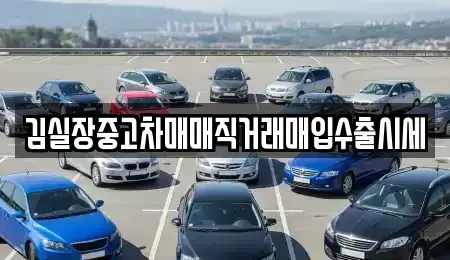 경기 안산시 상록구 성포동 중고차 전문 김실장중고차매매직거래매입수출시세