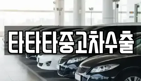 경기 안산시 상록구 성포동 중고차 전문 타타타중고차수출