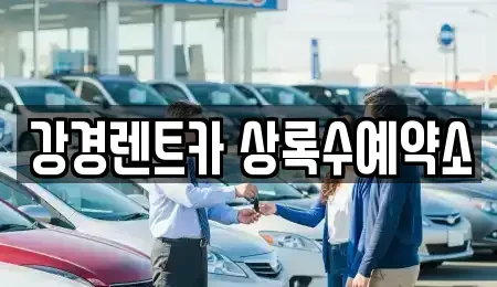 경기 안산시 상록구 팔곡일동 렌트카 전문 강경렌트카 상록수예약소