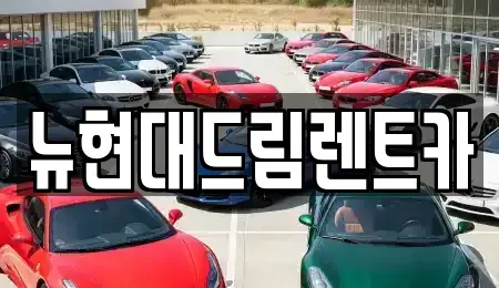 경기 안산시 상록구 팔곡일동 렌트카 전문 뉴현대드림렌트카