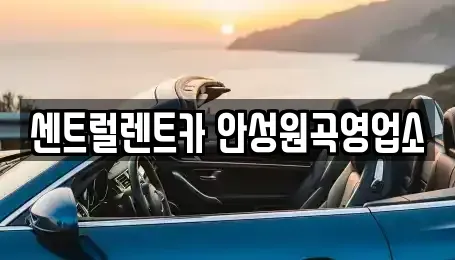 경기 안성시 원곡면 단기렌트카,중고차매입,중고차매매,중고차,렌트카,장기렌트카