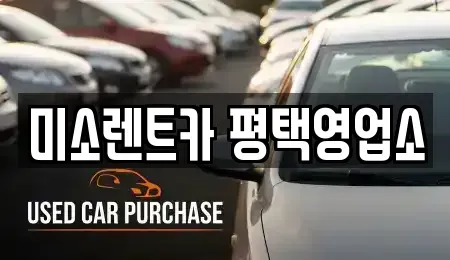 경기 안성시 원곡면 렌트카 전문 미소렌트카 평택영업소