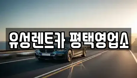 경기 안성시 원곡면 렌트카 전문 유성렌트카 평택영업소