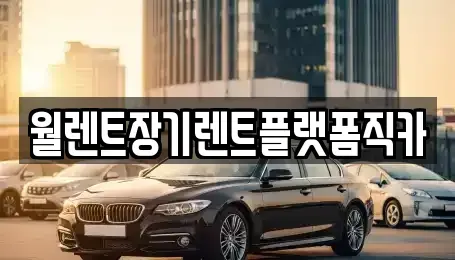 경기 안성시 원곡면 장기렌트카 전문 월렌트장기렌트플랫폼직카