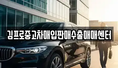 경기 여주시 하동 중고차 전문 김프로중고차매입판매수출매매센터