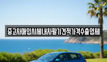 경기 연천군 신서면 중고차 전문 중고차매입시세내차팔기견적가격수출업체