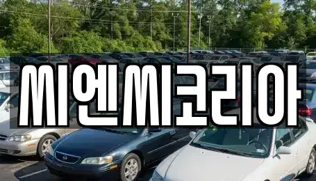 경기 오산시 내삼미동 단기렌트카 전문 씨엔씨코리아