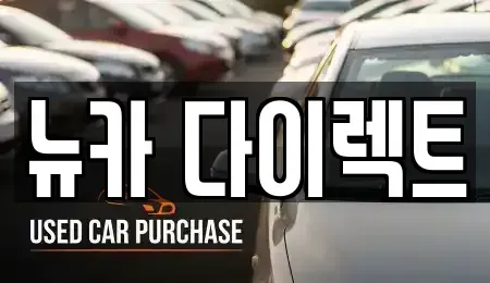 경기 오산시 내삼미동 장기렌트카 전문 뉴카 다이렉트