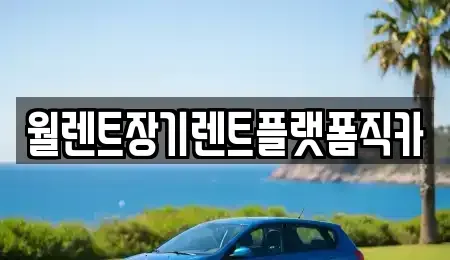 경기 오산시 내삼미동 장기렌트카 전문 월렌트장기렌트플랫폼직카