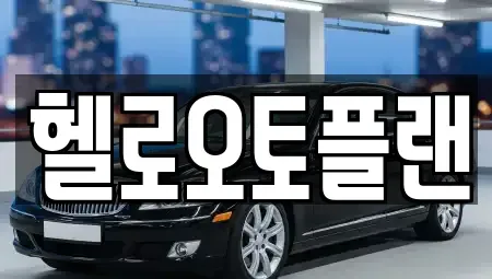 경기 오산시 내삼미동 장기렌트카 전문 헬로오토플랜