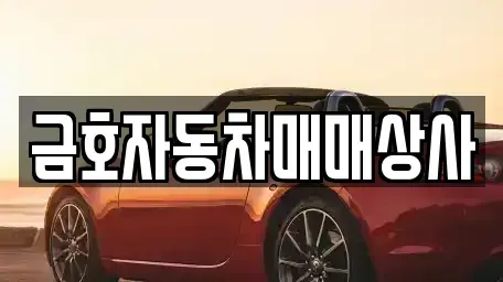 경기 오산시 내삼미동 중고차매매 전문 금호자동차매매상사