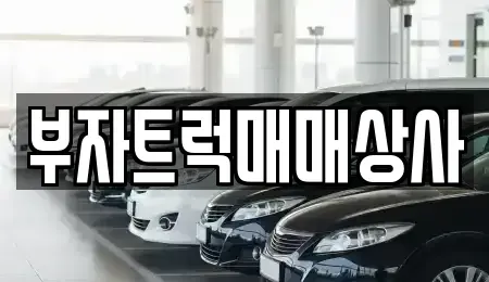 경기 오산시 내삼미동 중고차매매 전문 부자트럭매매상사