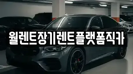경기 오산시 양산동 장기렌트카 전문 월렌트장기렌트플랫폼직카