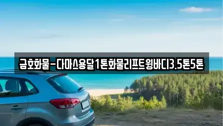 경기 오산시 양산동 중고차매입 전문 금호화물-다마스용달1톤화물리프트윙바디3.5톤5톤