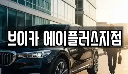 경기 용인시 기흥구 보정동 렌트카 전문 브이카 에이플러스지점