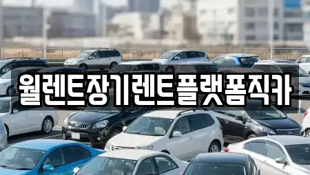 경기 용인시 기흥구 보정동 장기렌트카 전문 월렌트장기렌트플랫폼직카