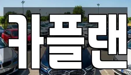 경기 용인시 기흥구 보정동 장기렌트카 전문 카플랜