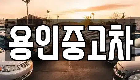 경기 용인시 기흥구 보정동 중고차매매 전문 용인중고차