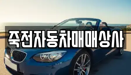 경기 용인시 기흥구 보정동 중고차매매 전문 죽전자동차매매상사