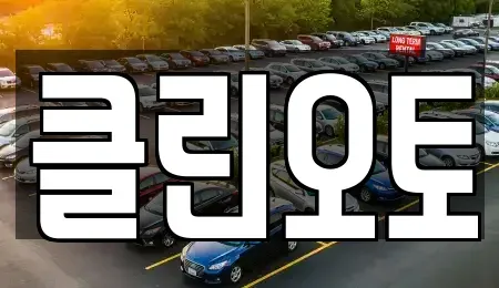 경기 용인시 기흥구 보정동 중고차매매 전문 클린오토