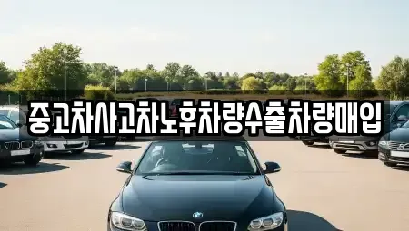 경기 용인시 기흥구 보정동 중고차매입 전문 중고차사고차노후차량수출차량매입
