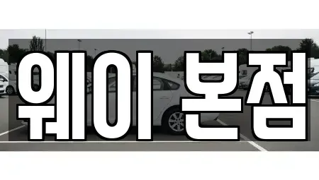 경기 의왕시 오전동 단기렌트카 전문 웨이 본점