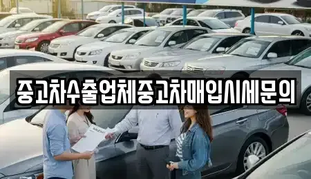 경기 의왕시 오전동 중고차매입 전문 중고차수출업체중고차매입시세문의
