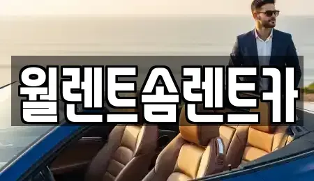 경기 이천시 마장면 렌트카 전문 월렌트솜렌트카