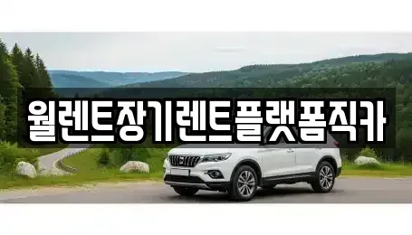 경기 이천시 부발읍 장기렌트카 전문 월렌트장기렌트플랫폼직카