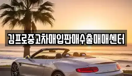 경기 이천시 부발읍 중고차매입 전문 김프로중고차매입판매수출매매센터