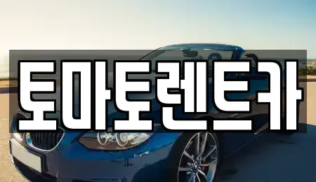 경기 이천시 설성면 렌트카 전문 토마토렌트카