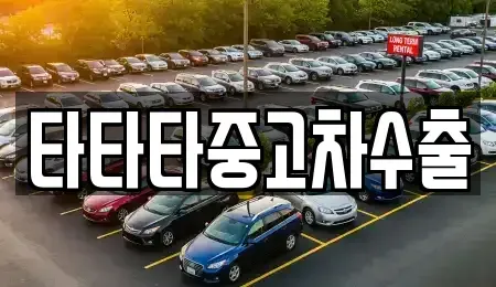 경기 이천시 설성면 중고차 전문 타타타중고차수출