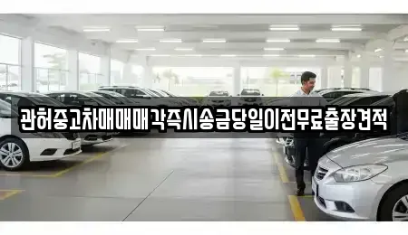 경기 파주시 맥금동 중고차 전문 관허중고차매매매각즉시송금당일이전무료출장견적