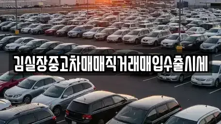 경기 파주시 상지석동 중고차 전문 김실장중고차매매직거래매입수출시세