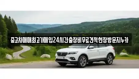 경기 파주시 상지석동 중고차매입 전문 중고차매매최고가매입24시간출장비무료견적현장방문지누카