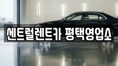 경기 평택시 비전동 단기렌트카 전문 센트럴렌트카 평택영업소