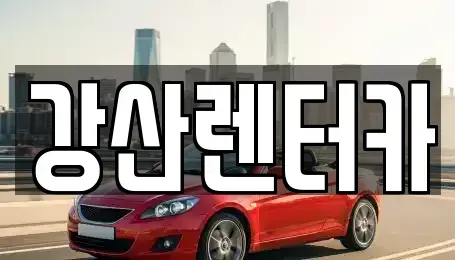 경기 평택시 비전동 렌트카 전문 강산렌터카