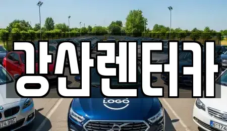 경기 평택시 비전동 렌트카 전문 강산렌터카