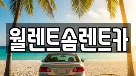 경기 평택시 비전동 렌트카 전문 월렌트솜렌트카