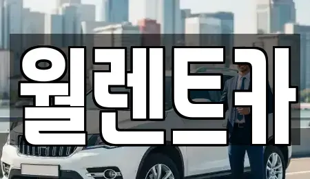 경기 평택시 비전동 렌트카 전문 월렌트카