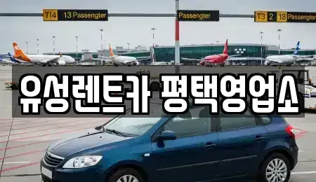 경기 평택시 비전동 렌트카 전문 유성렌트카 평택영업소