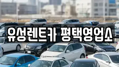 경기 평택시 비전동 렌트카 전문 유성렌트카 평택영업소