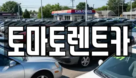 경기 평택시 비전동 렌트카 전문 토마토렌트카