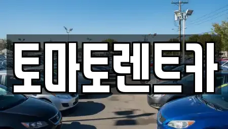 경기 평택시 비전동 렌트카 전문 토마토렌트카