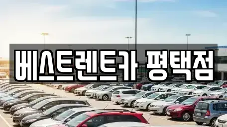 경기 평택시 비전동 장기렌트카 전문 베스트렌트카 평택점