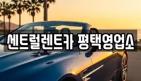 경기 평택시 비전동 장기렌트카 전문 센트럴렌트카 평택영업소
